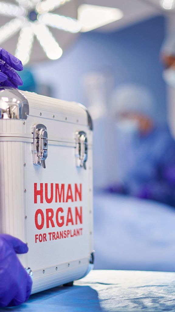 Photo: A stock photo of locked case labeled HUMAN ORGANS.