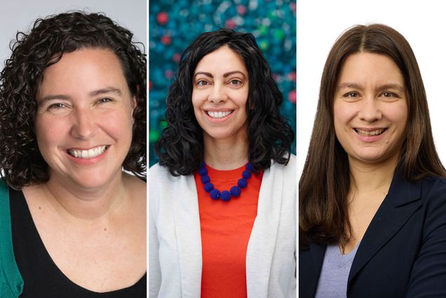 Photo: A collage of three different headshots. From the right, a women with short curly hair wearing a teal shirt. IN the middle, a women with shoulder length curly hair wearing an orange shirt and a white cardigan, a women with medium length brown hair wearing a gray shirt and a black cardigan. They are all smiling in their respective shots.