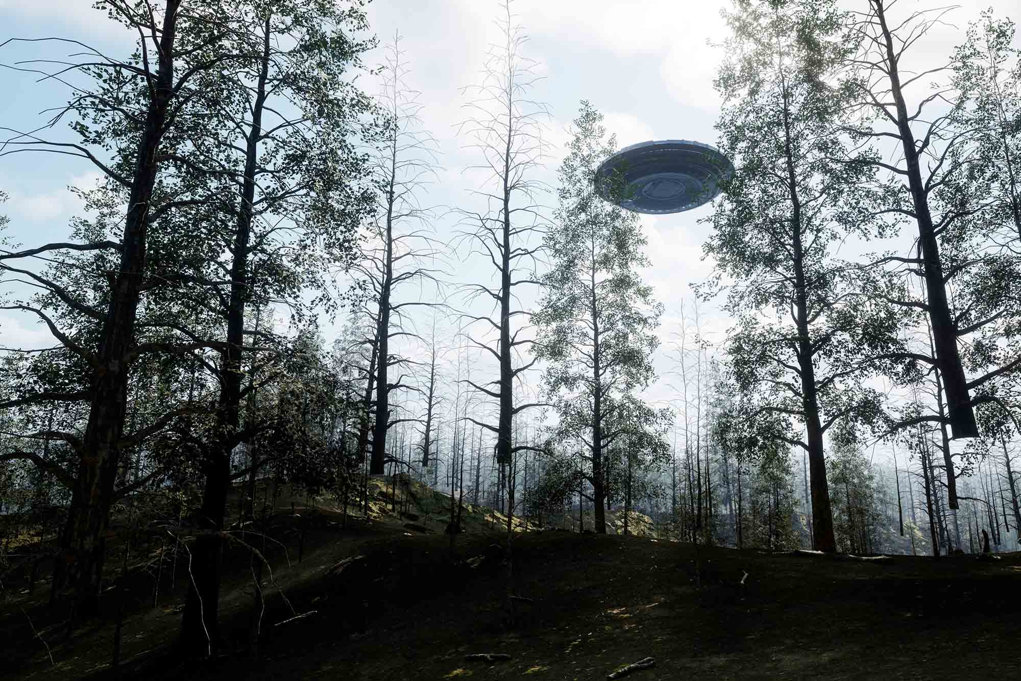 Photo: A wooded area with an eerie aura, a UFO hovers in the air on the right side.