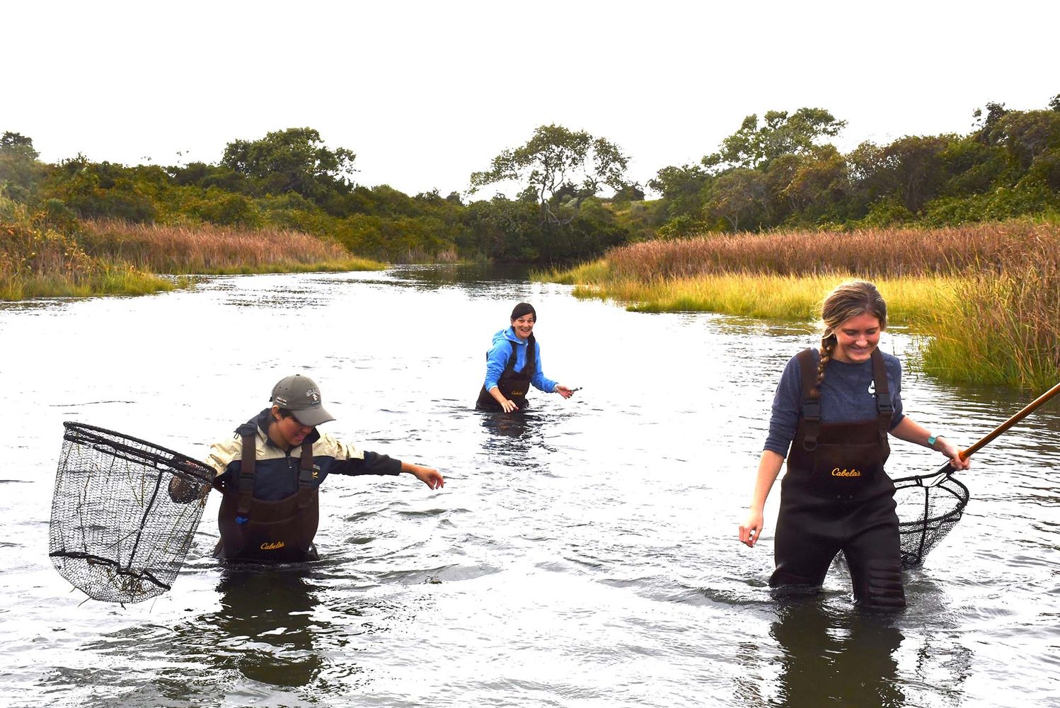 Photo: Three people wading through a creek and collecting herring samples