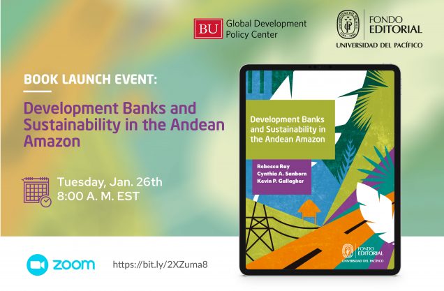 Book Launch: Development Banks and Sustainability in the Andean Amazon |  Global Development Policy Center
