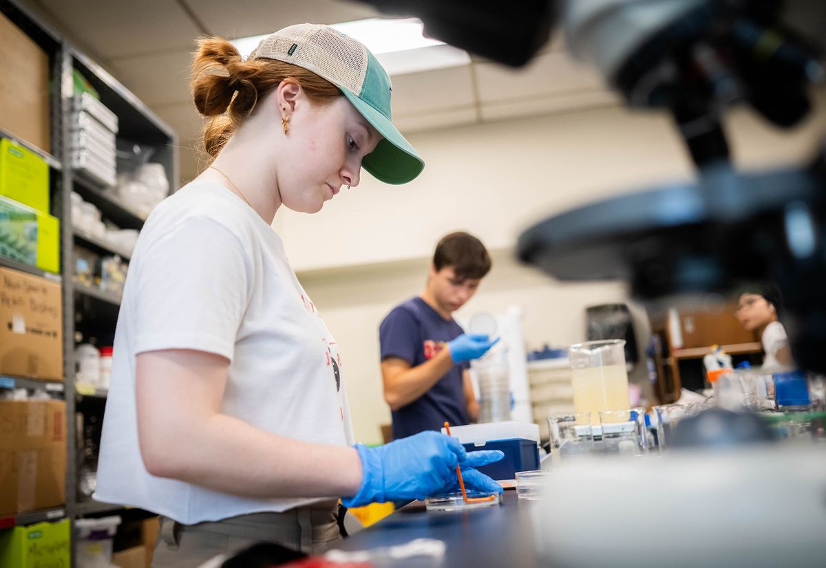 Photo: In the foreground, a female student with a baseball cap and gloves on working in a lab. In the background, a male student inspecting lab equipment