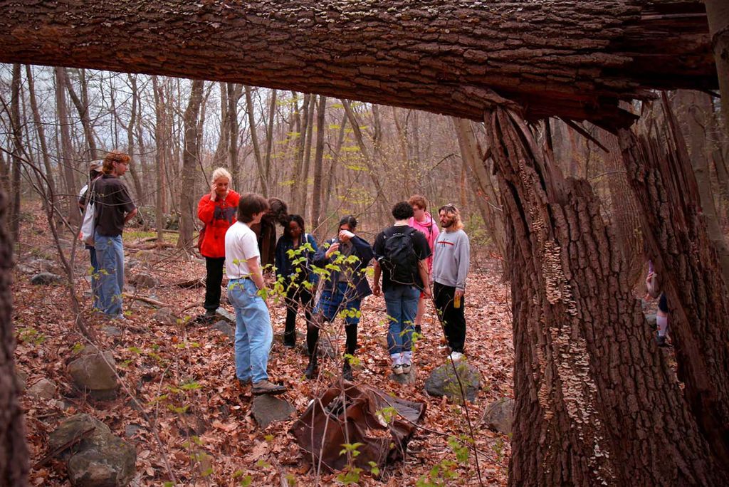 Photo: A picture of members of Boston University's Bug Club in the woods.