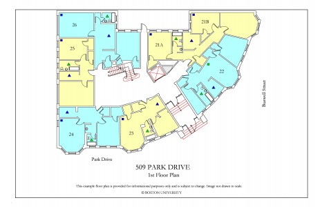 509 Park Drive | Boston University Housing