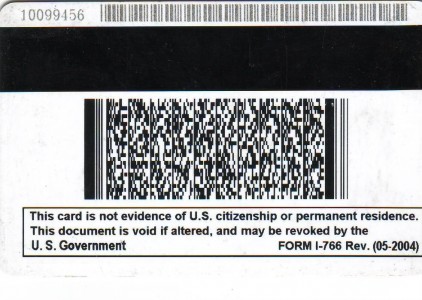Employment Authorization Card - back