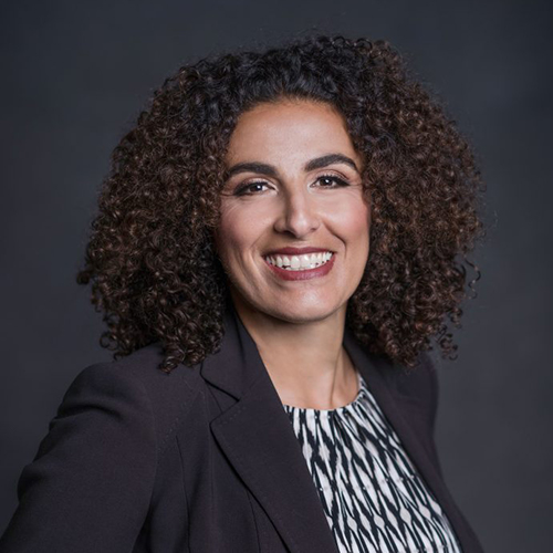 Professor Sahar Aziz