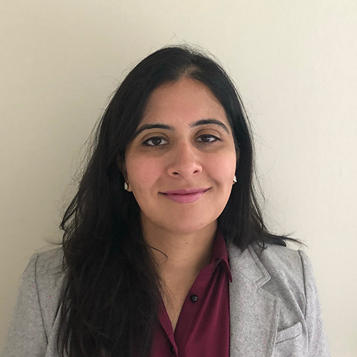 Professor Nadia Ahmad