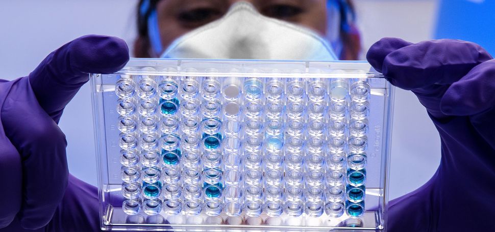 A Centers for Disease Control and Prevention (CDC) scientist reviews a plate with serological test samples.