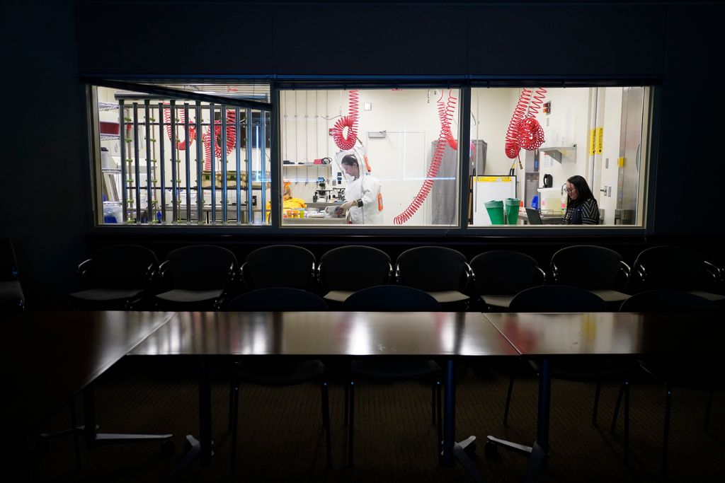 Image of a the lighted laboratory with a person working inside taken from outside in a darkened room