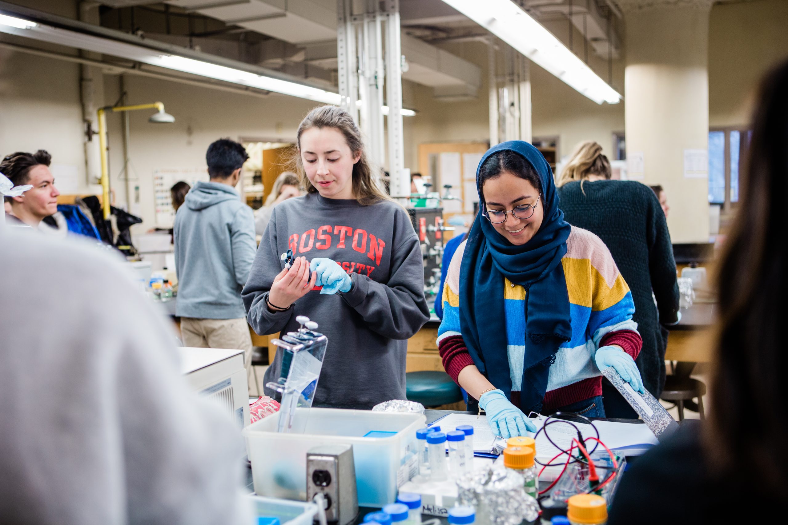 CASBB 522 A1: Molecular Biology Laboratory with professor Thomas Gilmore.