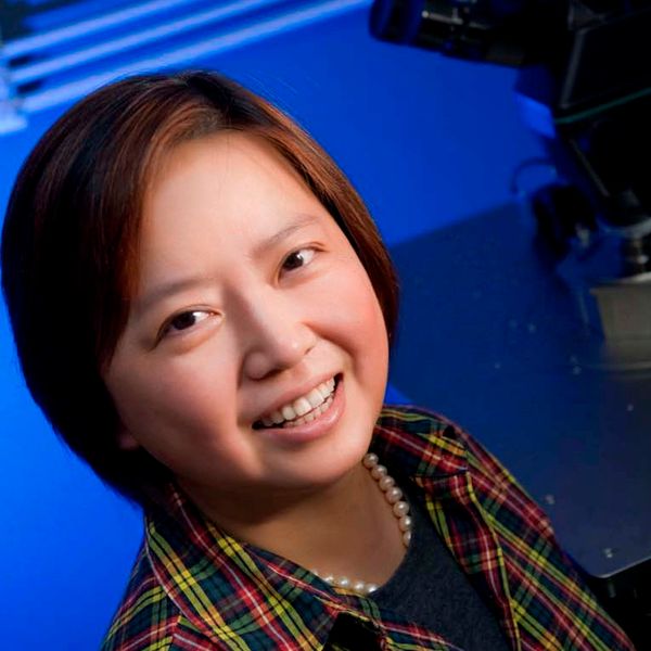 Xin Zhang