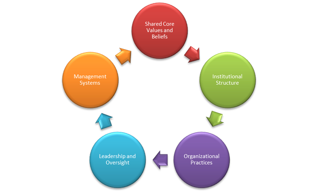 Culture-of-Safety Management Systems