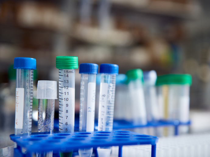 A close up of test tubes on a lab bench