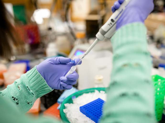 A person wearing a green sweater and blue gloves uses a pipette at a lab bench.