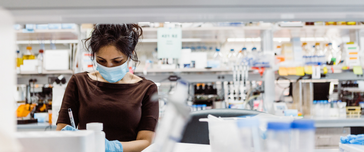 a person wearing gloves and mask works at a lab bench