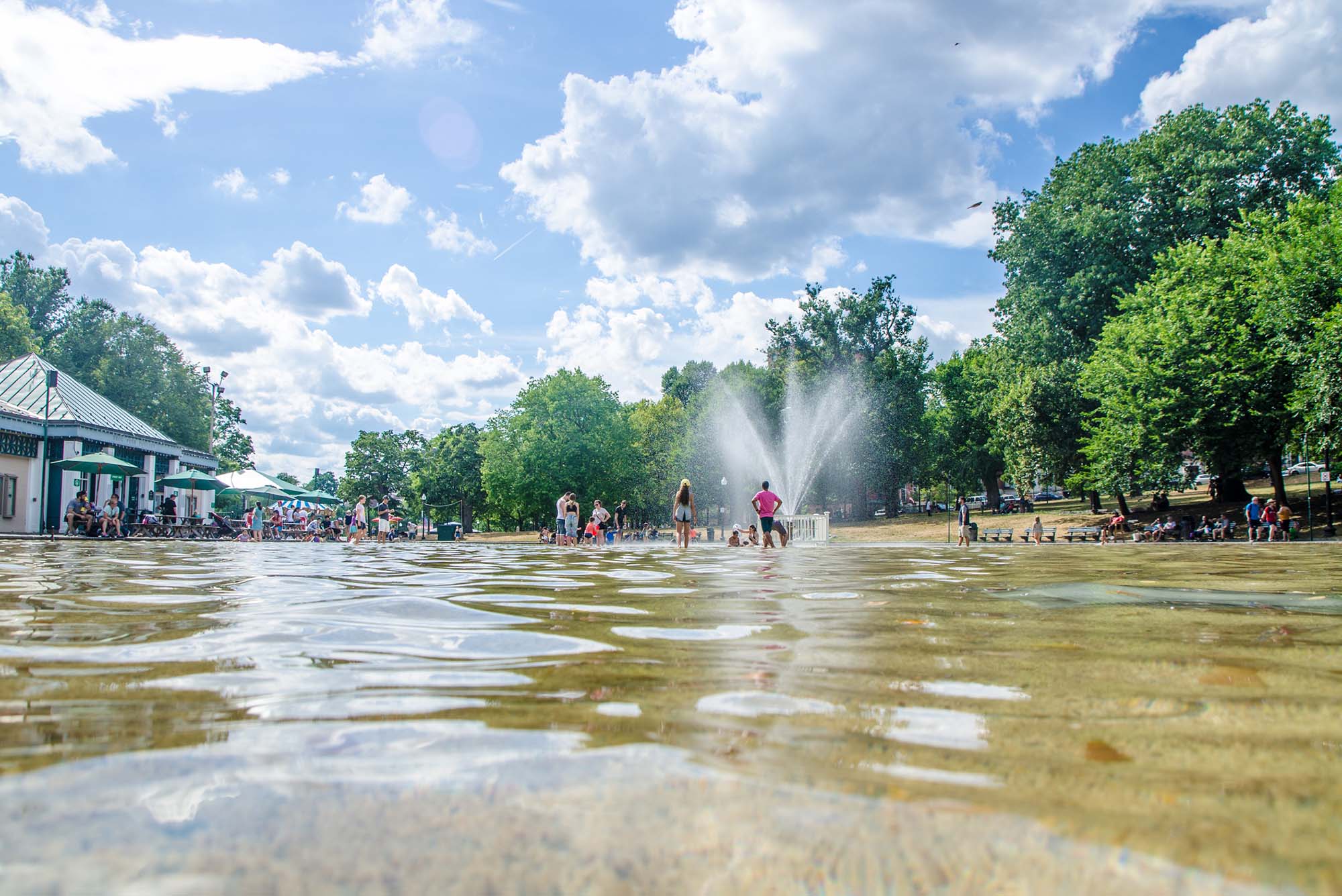 Boston Common Frog Pond