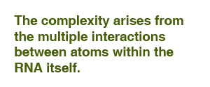 The complexity arises from the multiple interactions between atoms within the RNA itself. 