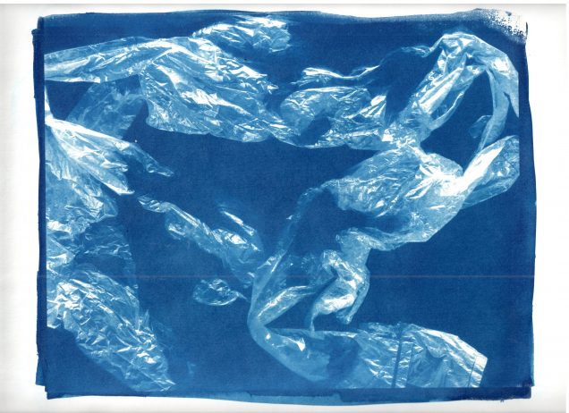 Fauxssilles for the Future: Cyanotype Expressions on Plastic Waste