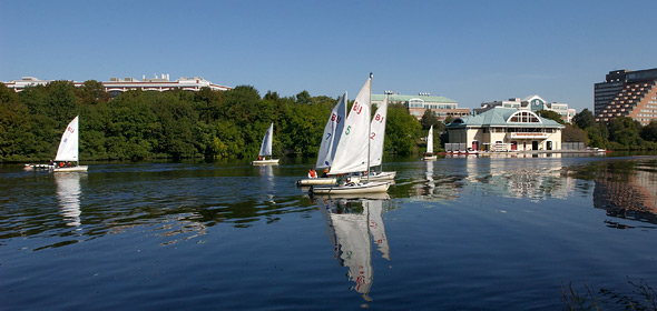 sailboats on the Charles River