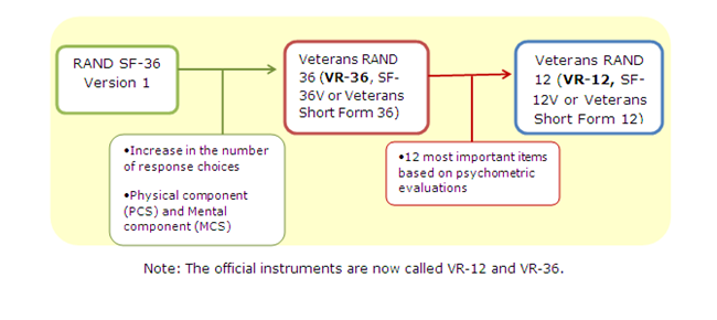 Figure 6: VR-12 development