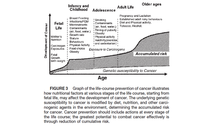 Figure 2. Uauy R, Solomons N. (2005). Diet, nutrition, and the life-course approach to cancer prevention. J Nutr, 135(12 Suppl), 2934S-2945S.