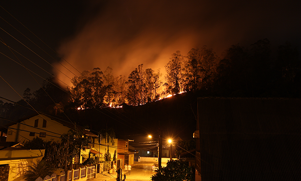Wildfire in a residential area