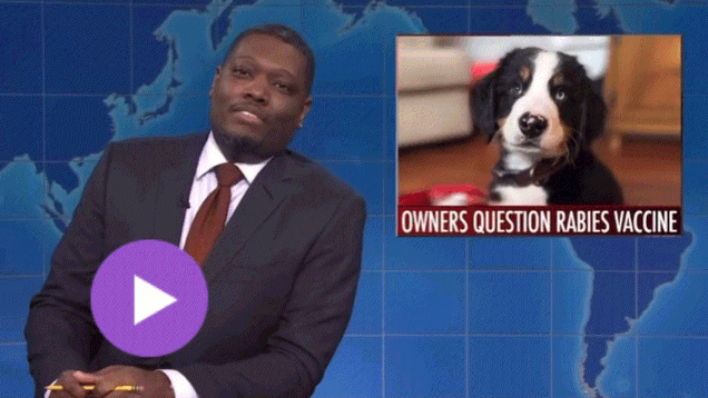 Screenshot of Michael Che on SNL's Weekend Update with a photo of a puppy that reads "Owners question rabies vaccine"