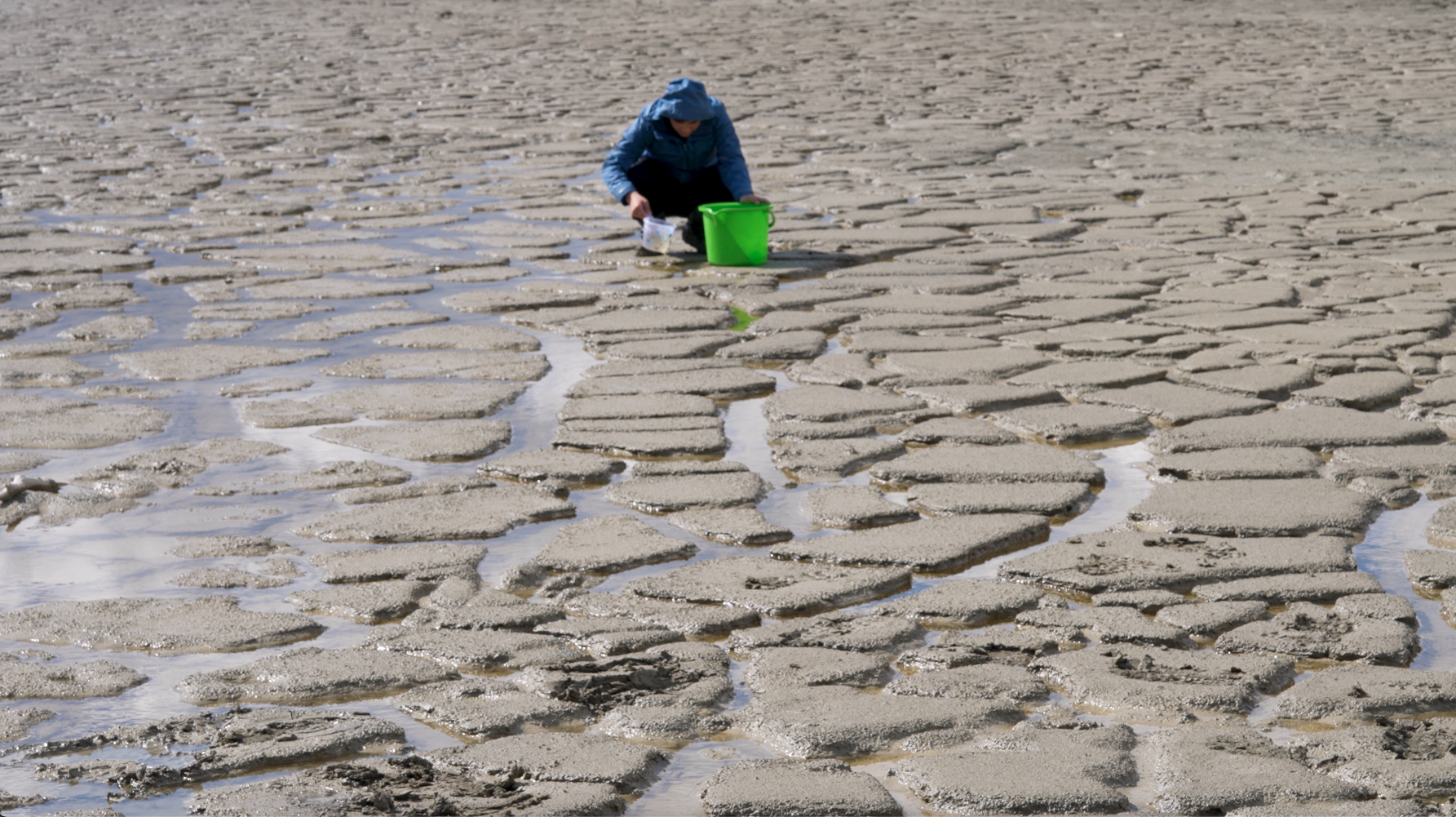 A person hunches over a dried up river bed with a bucket.