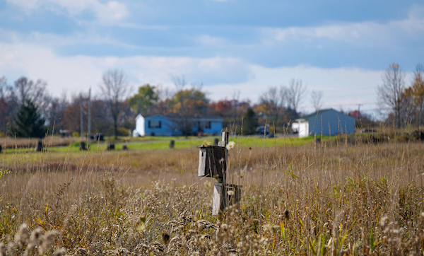 Birdhouse amid tall grass in Washington County Grasslands Wildlife Preserve, Upstate New York