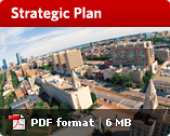 Strategic Report