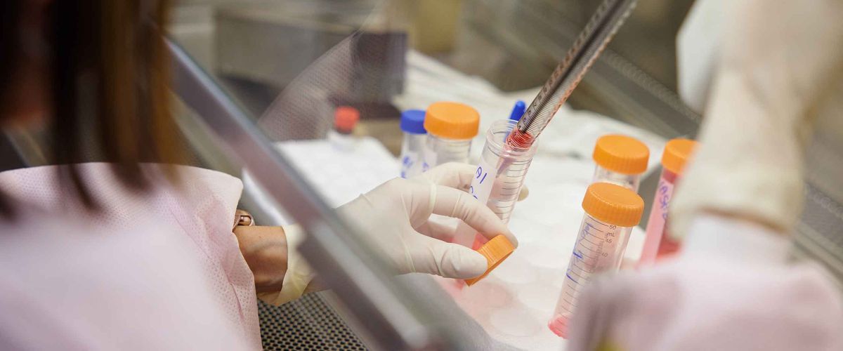 A beaker is being filled with drops in a lab at Boston University