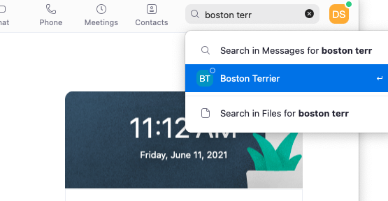 Screenshot of a Zoom user search with the desired contact highlighted in the menu