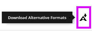 Download Alternative Formats icon
