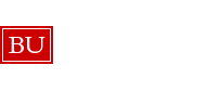 Travel Services