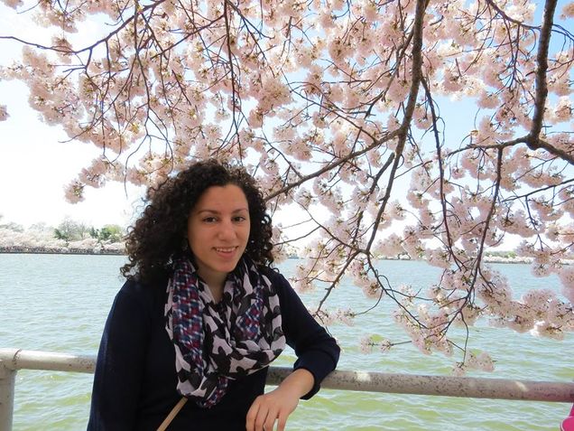 Hibba Cherry Blossoms