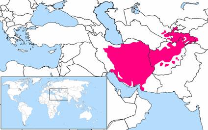 Why Study Persian (Farsi)? | World Languages & Literatures