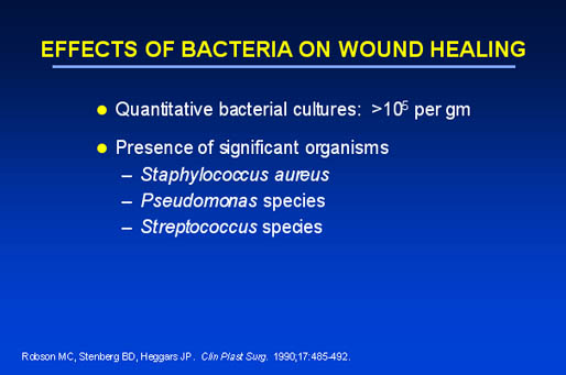 Effects of bacteria on wound healing 